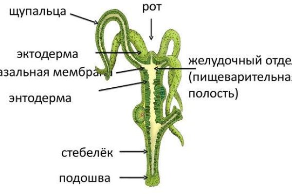 Кракен маркет онион