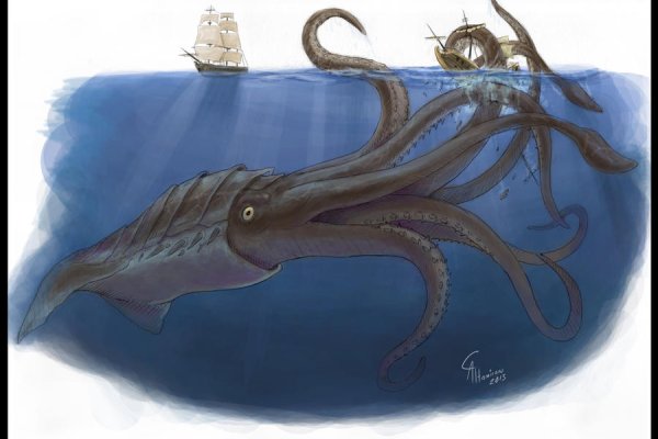 Кракен krakens13 at