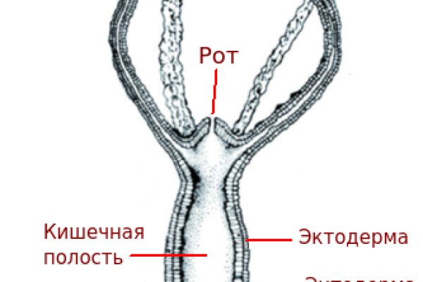 Кракен площадка нарко