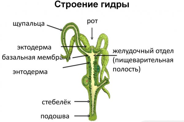 Кракен дарк сайт