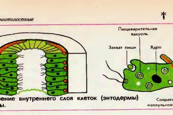 Кракен купить порошок маркетплейс